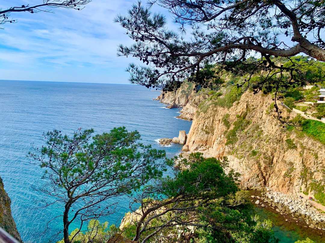 Castell De Lloret景点图片