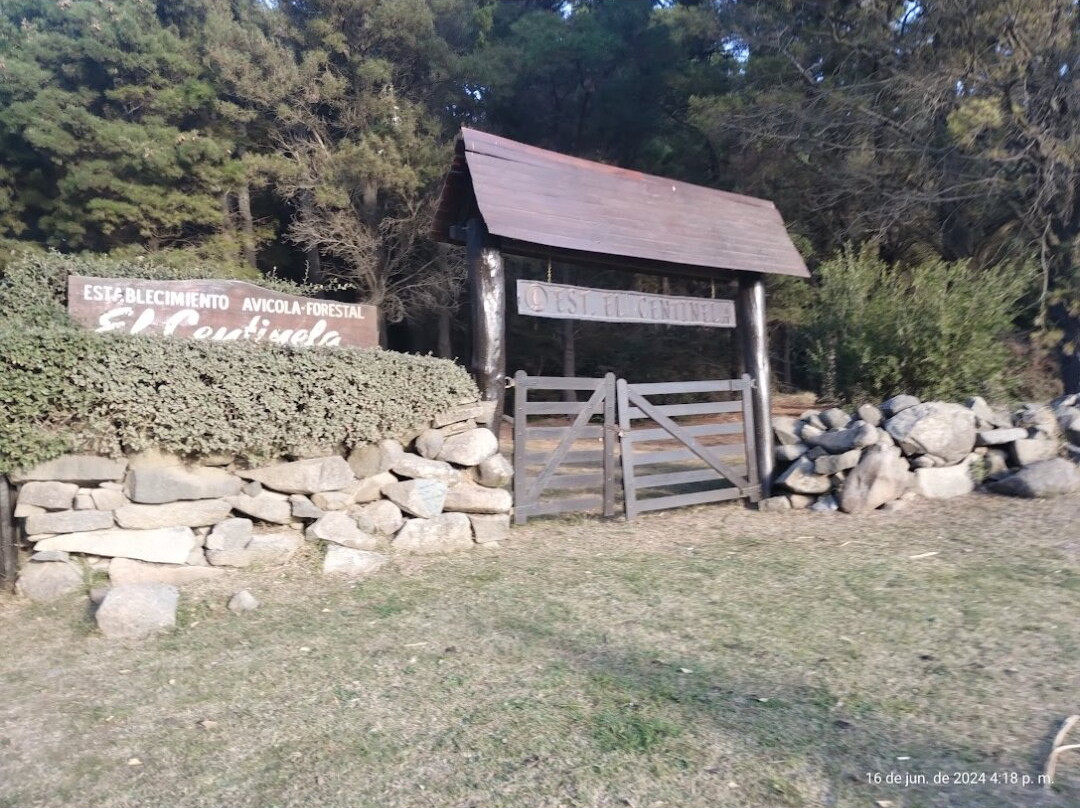 Cerro El Centinela景点图片