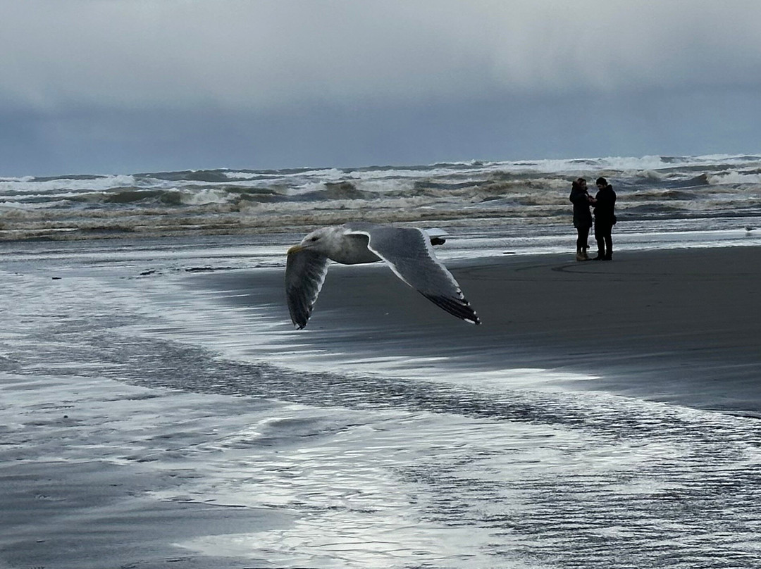 Polynesian Resort主图