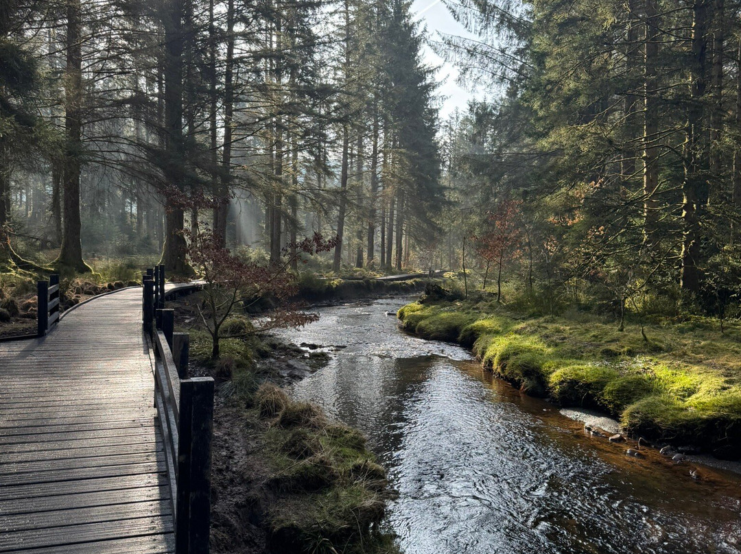 Hafren Forest景点图片