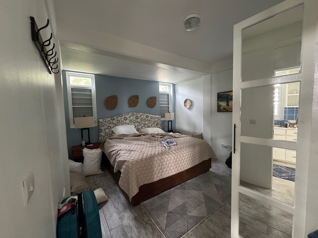 Wanderlust Caribbean Adventure Travel Boutique Hotel主图