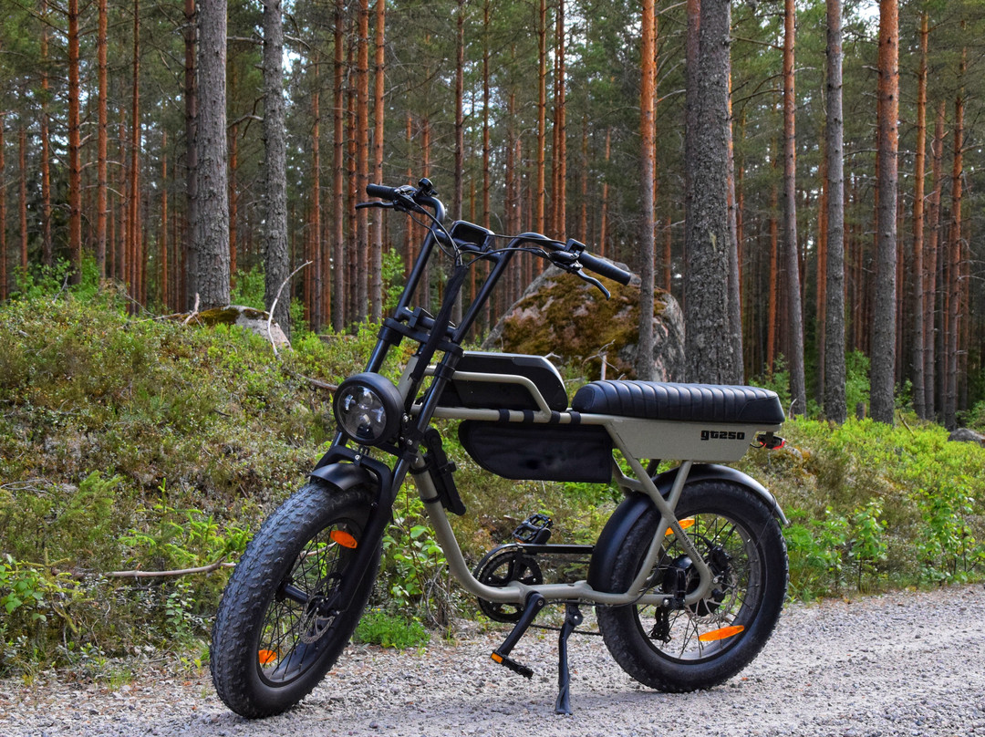 E-bikes Värmland景点图片