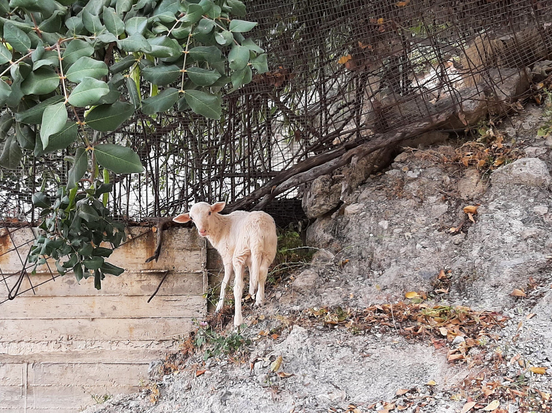 Rouvas Gorge (Agiou Nikolaou)-Zaros必去景点