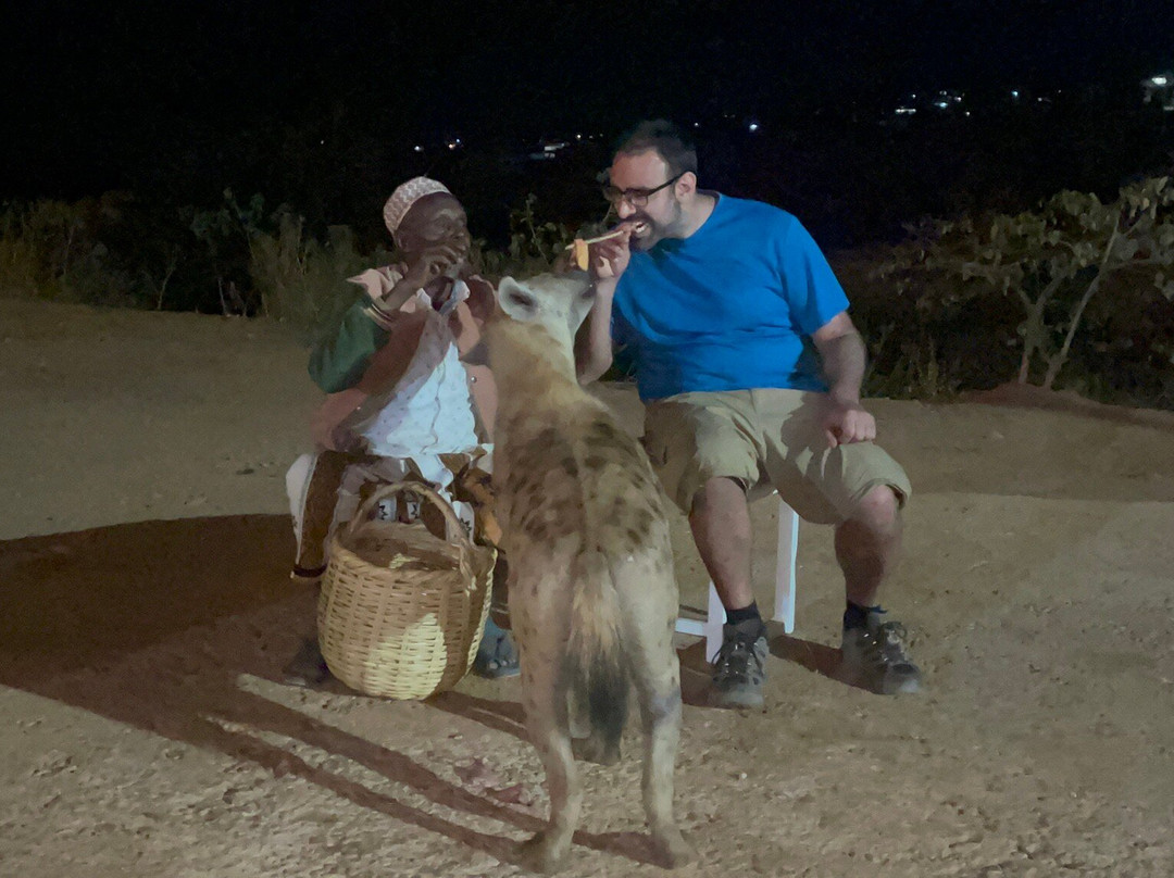 Edom Harar Tours & Car Rentals景点图片