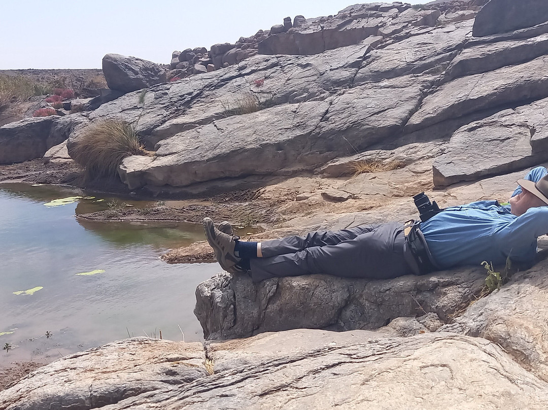 Mouflon Tourisme景点图片