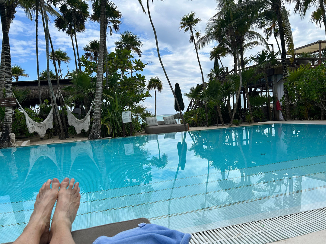 Jashita Hotel Tulum主图