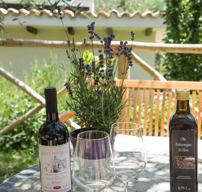 La Collina Degli Ulivi