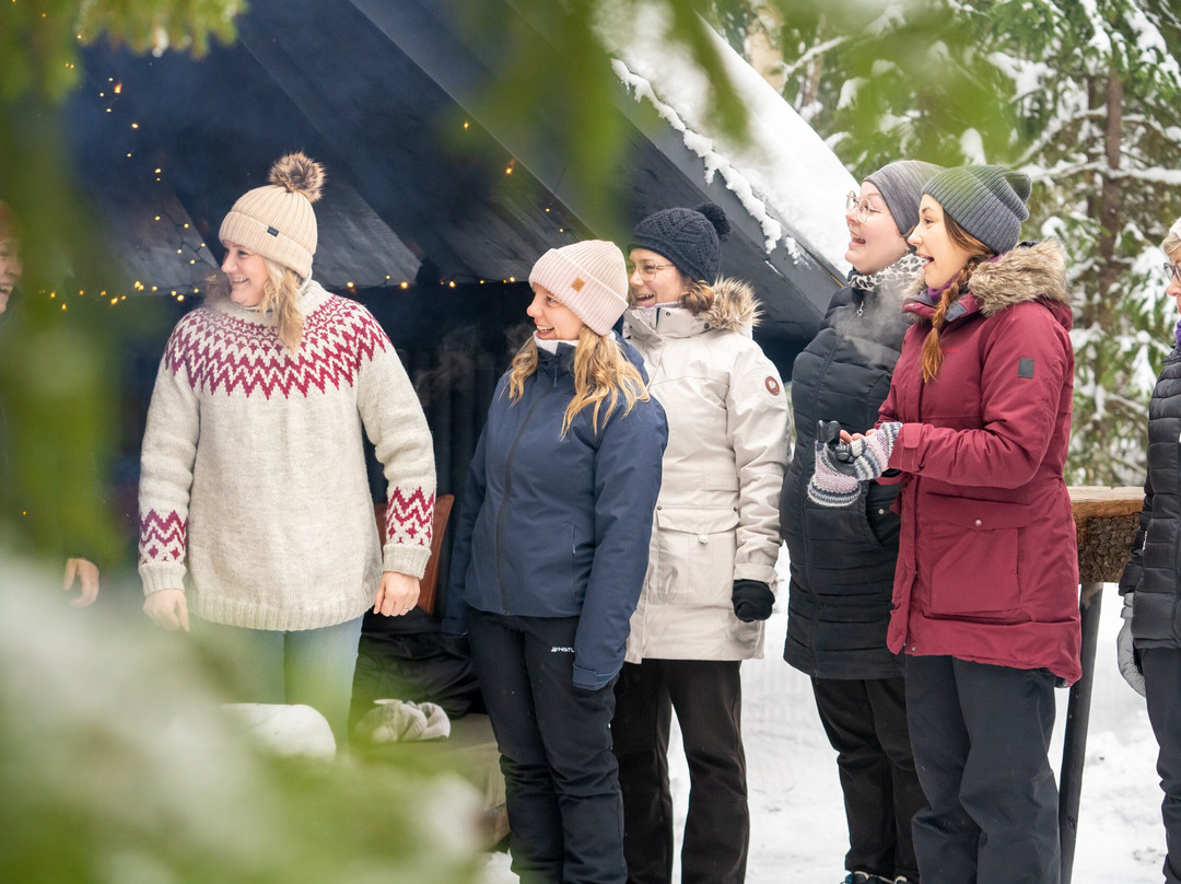 Soundforest - Sointumetsä-Keminmaa必去景点