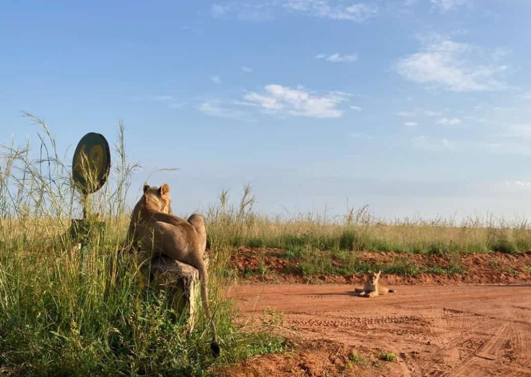 Eshande Safaris Tours & Travel-马辛迪必去景点