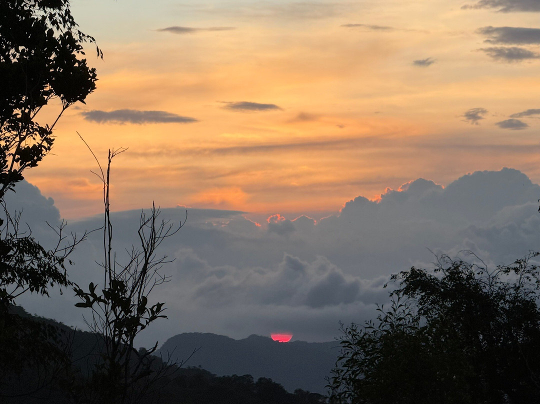 Rosewood Manor主图