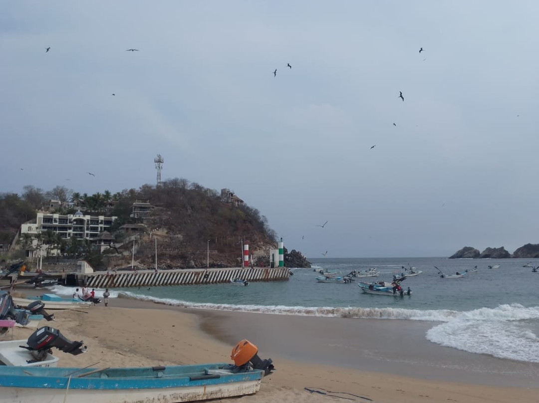 Playa del Muelle-Puerto Angel必去景点
