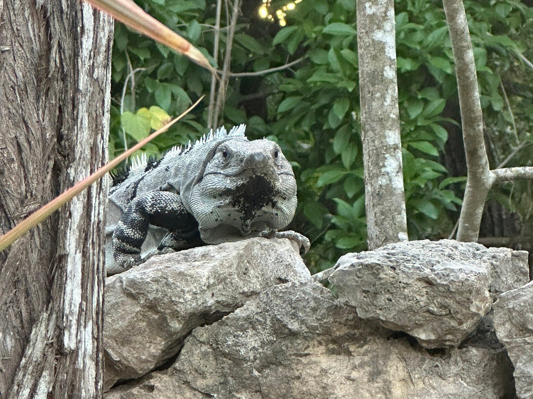 Hotel Rinconada Del Convento主图