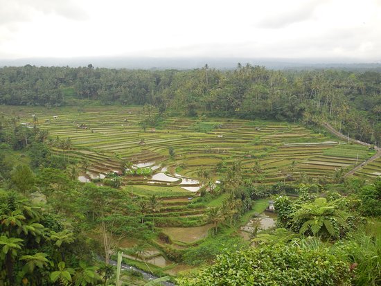 Mahagiri Panoramic Resort & Restaurant-酒店景观