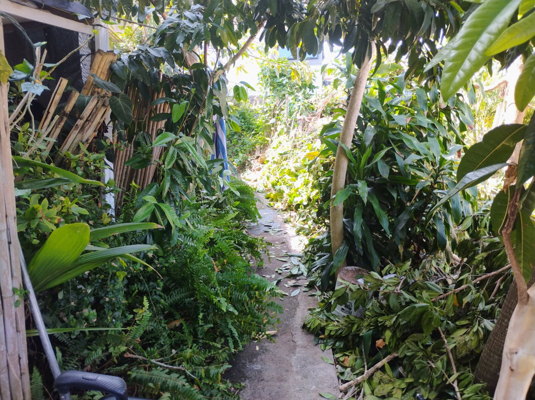 科纳夏威夷旅馆主图