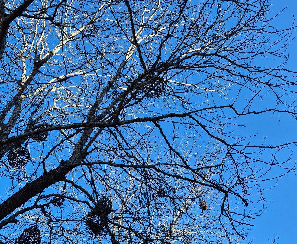 Atlantic Hotel主图