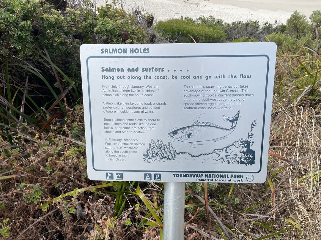 Salmon Holes-奥尔巴尼必去景点