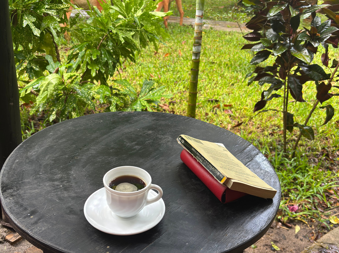 Kijiji Beach Resort主图