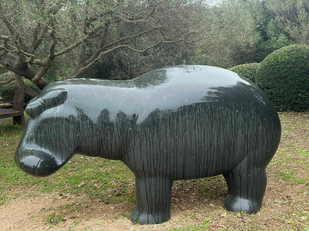 Museo Sa Bassa Blanca景点图片