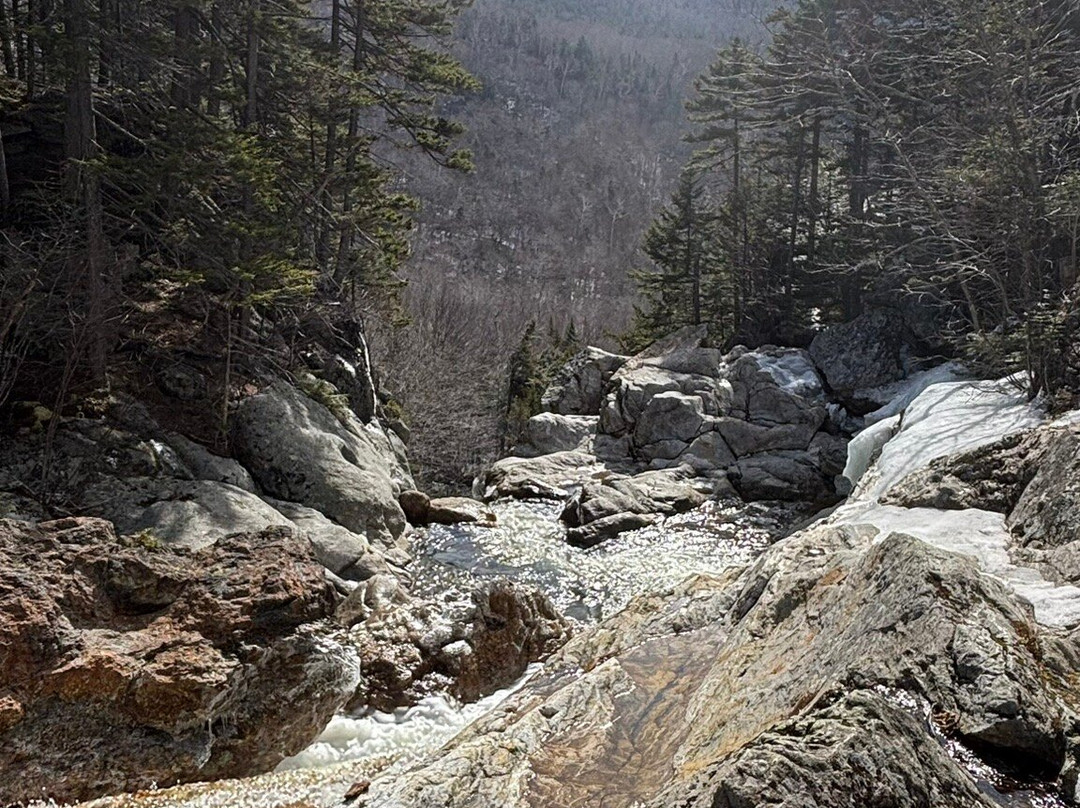 Glen Ellis Falls-杰克逊必去景点
