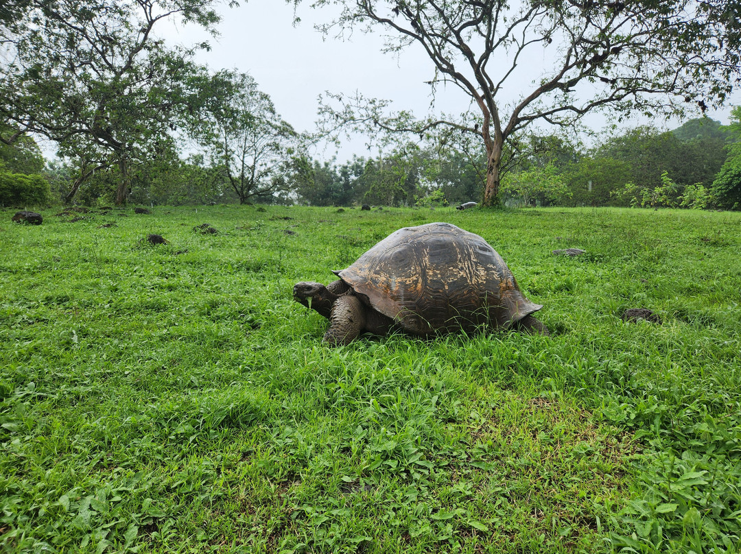 Kajol Lavan Travel, Galapagos Islands-Baltra必去景点