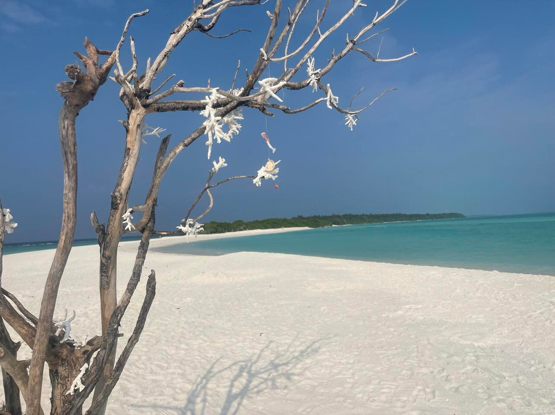 Island Luxury Boutique Hotel主图