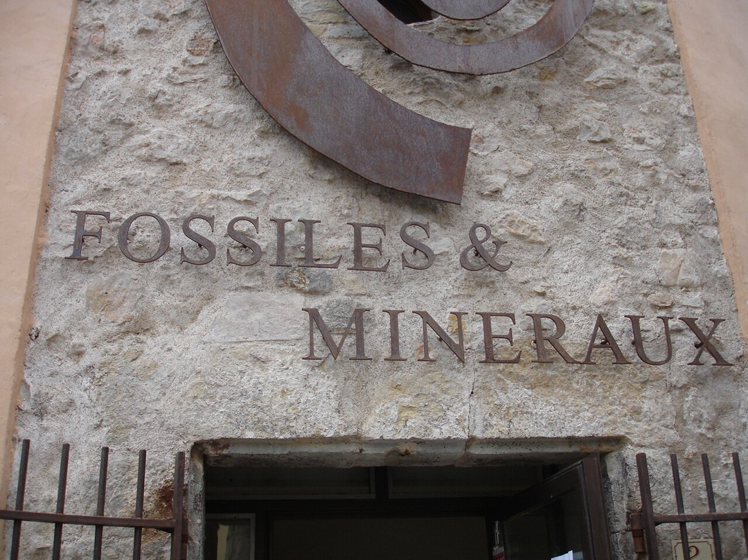 Musée Fossiles et Minéraux-Bargemon必去景点