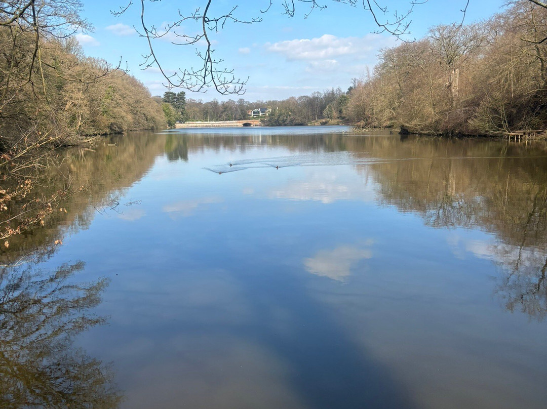 Lymm Dam-Lymm必去景点