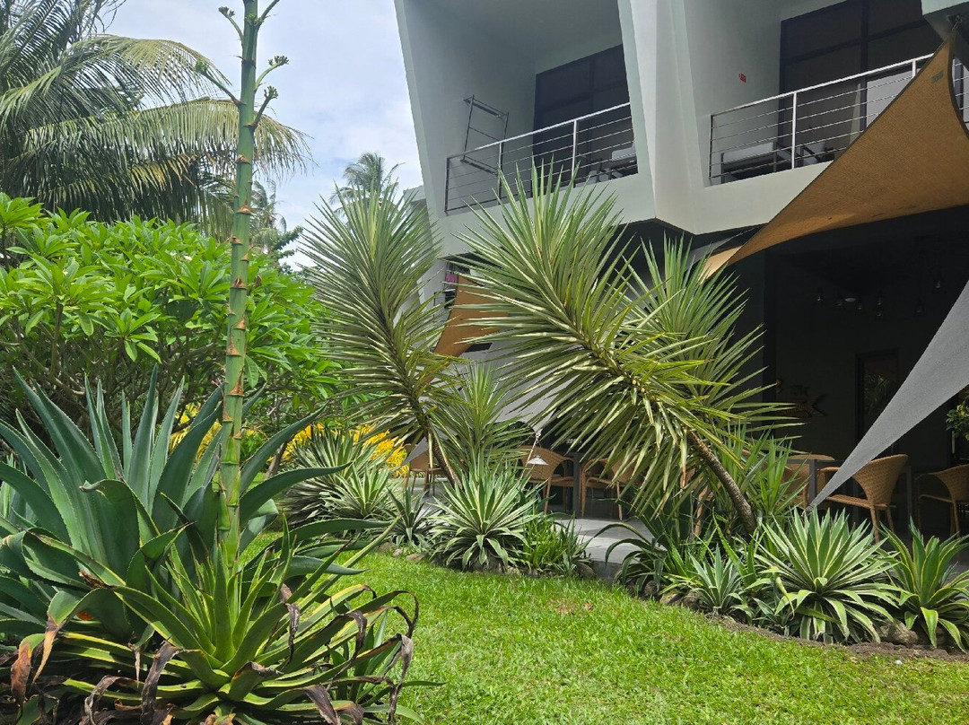 Mahi Mahi Dive Resort主图