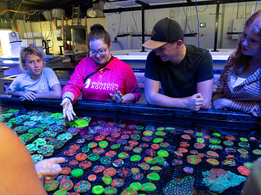 Monsoon Aquatics Coral Farm Tours-Burnett Heads必去景点