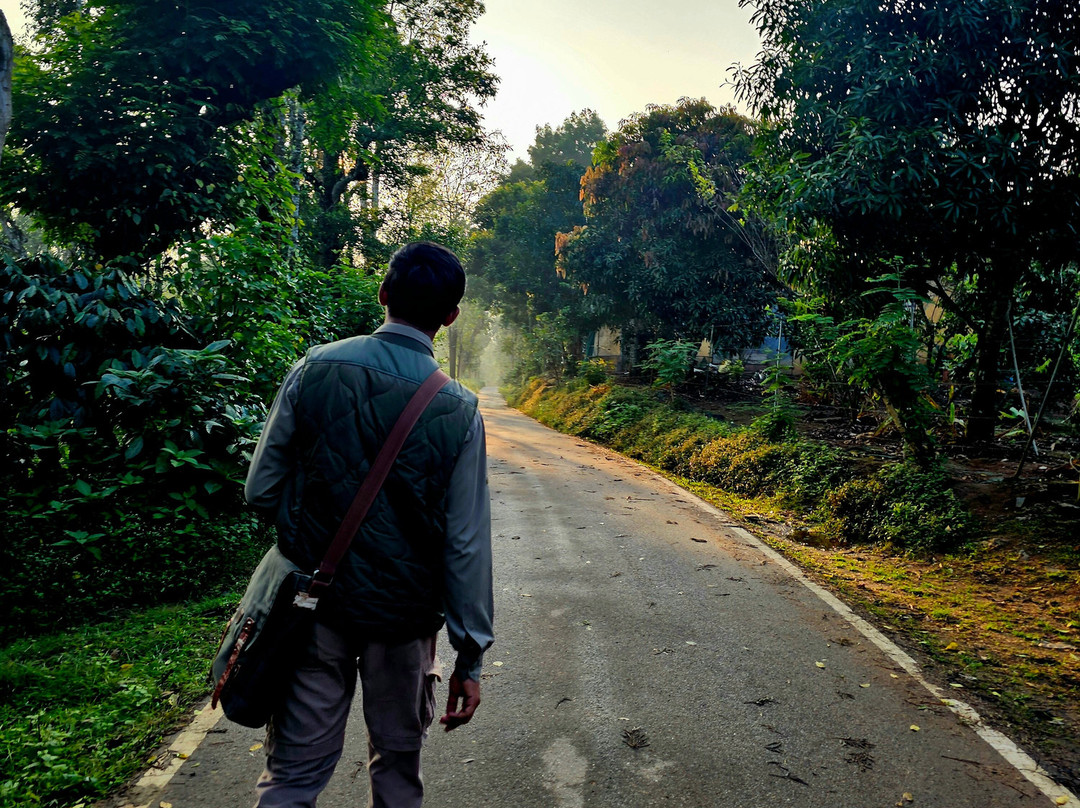 Evolve Back, Coorg主图