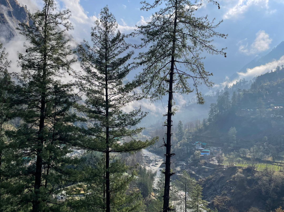 Negi Nest Kasol主图