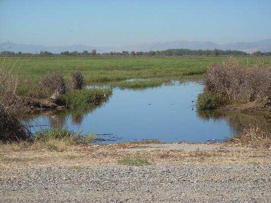 布鲁甘姆汽车旅馆主图