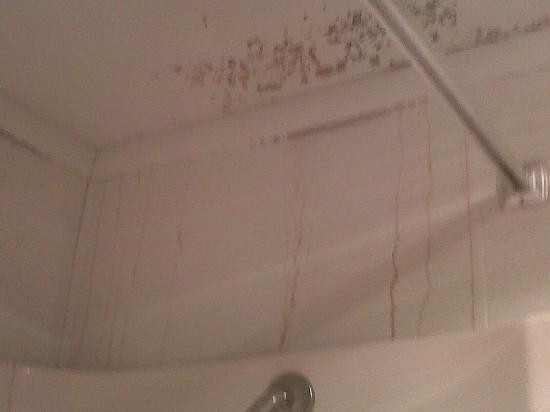 Budget Host Sundowner主图