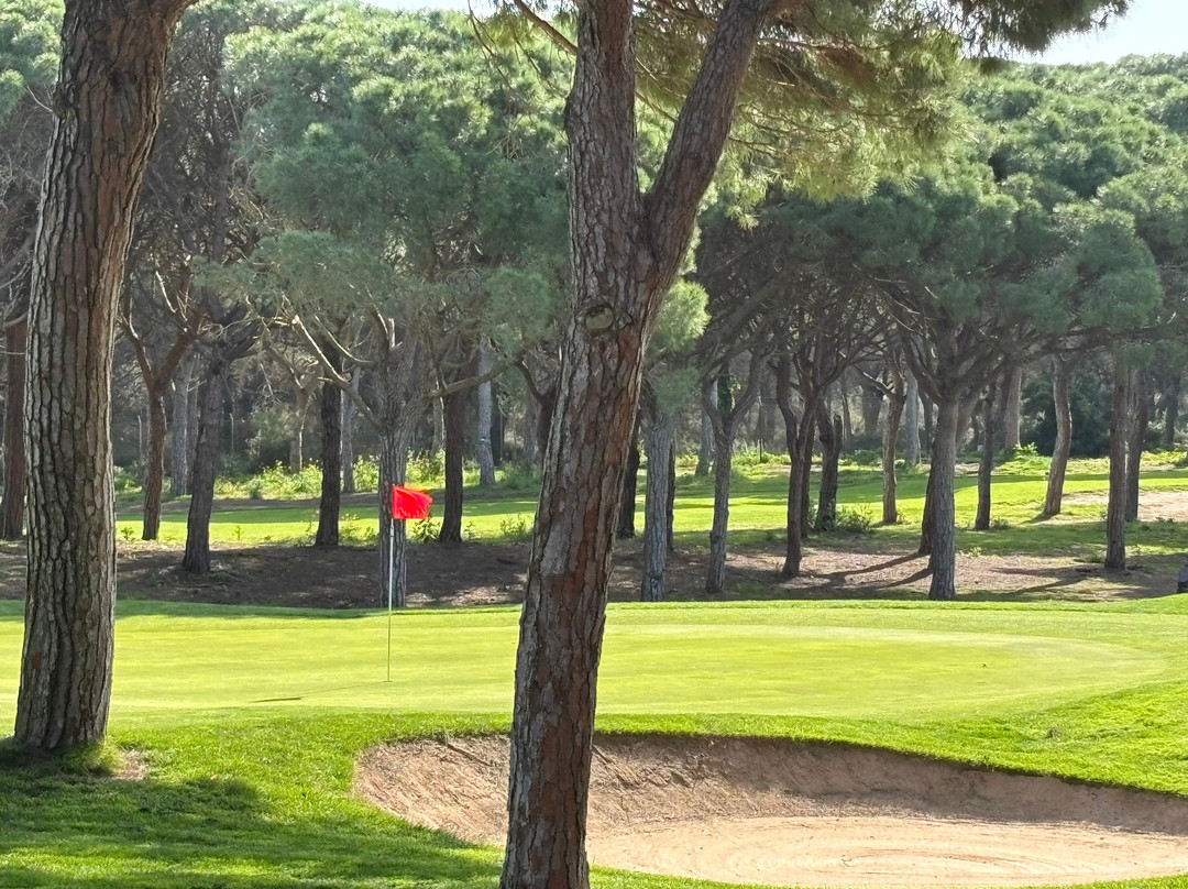 Golf Platja De Pals景点图片