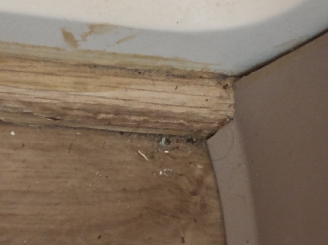 Days Inn By Wyndham Brooksville Dade City主图