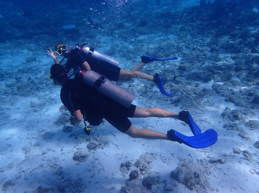 Trunkdivers-库拉索必去景点