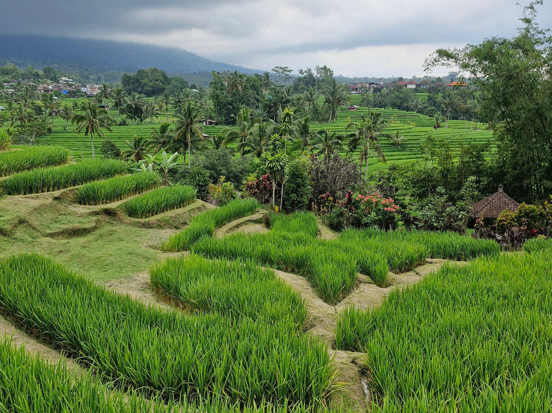 Bali Reiseleiter Fahrer景点图片