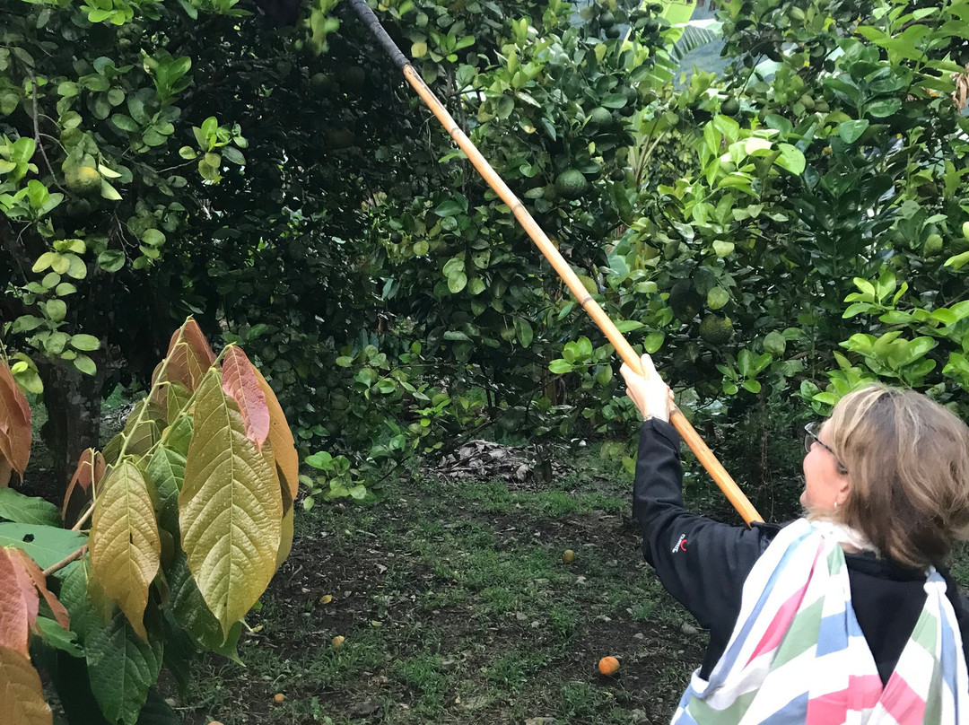 Maranura Tours-Maranura必去景点