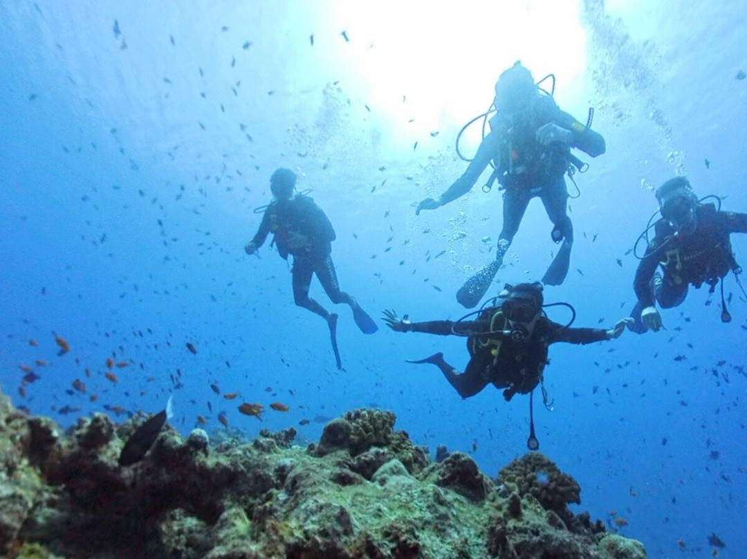 Family Divers Maldives景点图片