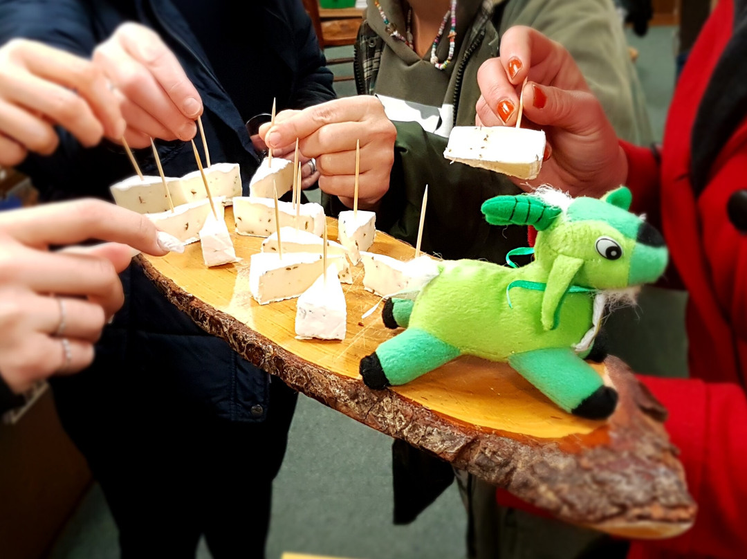 Altenburg Stadtfuerungen-Altenburg必去景点