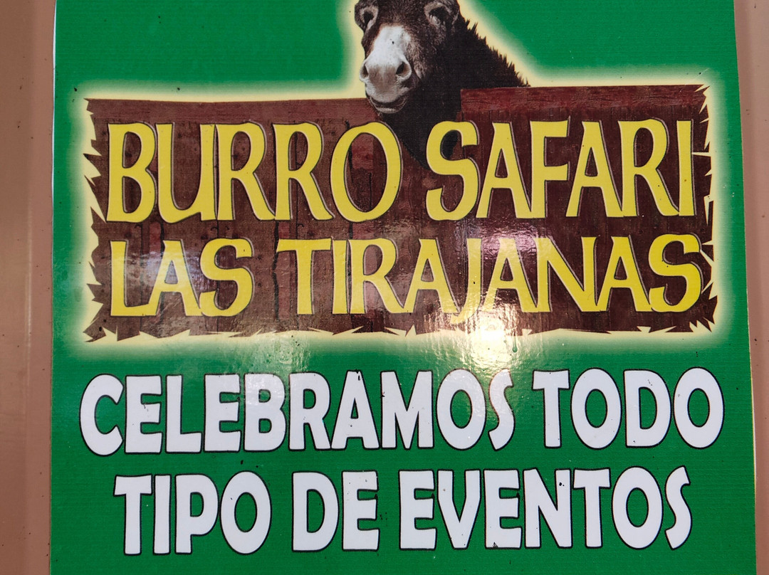 Burro Safari Las Tirajanas-大加那利岛拉斯帕尔马斯必去景点