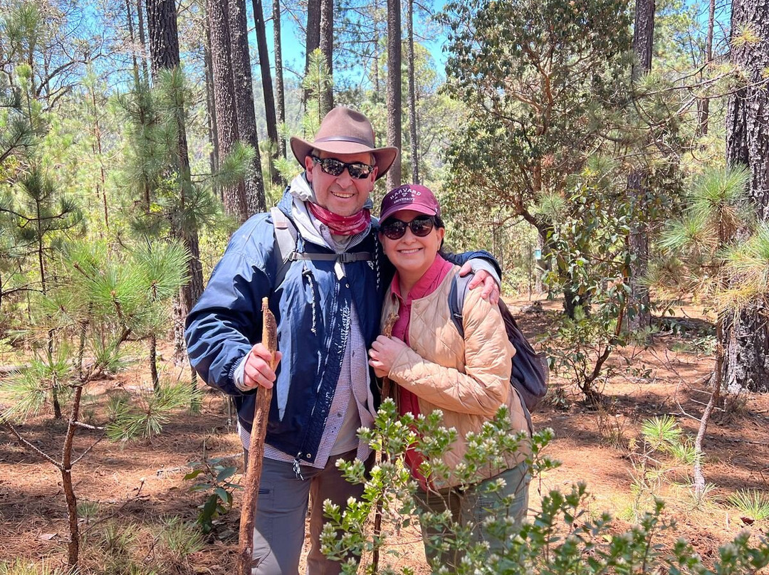 Pueblos Mancomunados-瓦哈卡必去景点