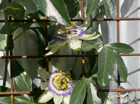 Hoosier Hot Springs-Truth or Consequences必去景点