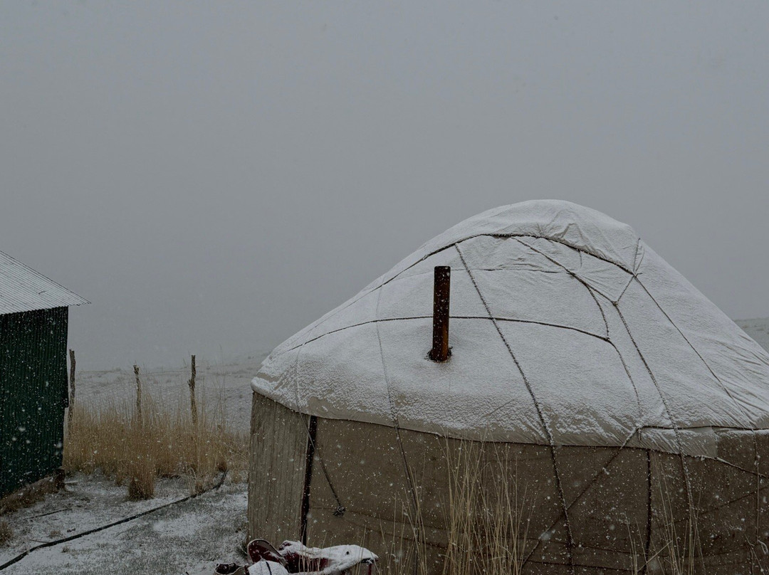 Kyrgyz Nature Travel Company景点图片