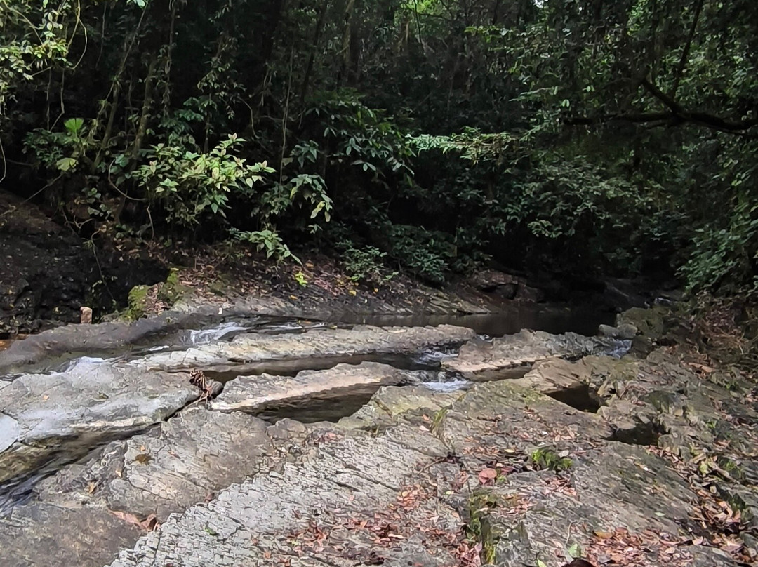 Parque Nacional La Cangreja景点图片