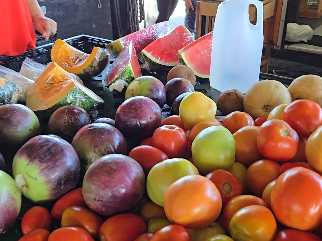 Farm Fresh Direct-乔治城必去景点