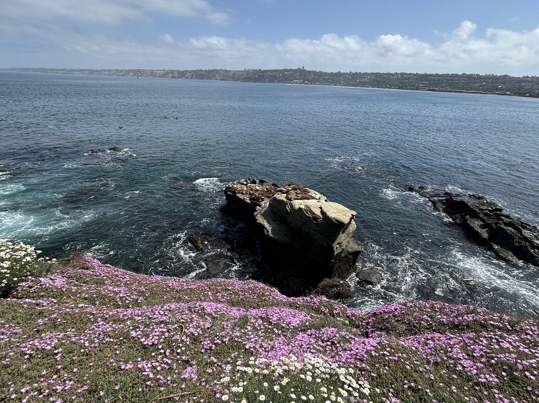 皇后大酒店主图
