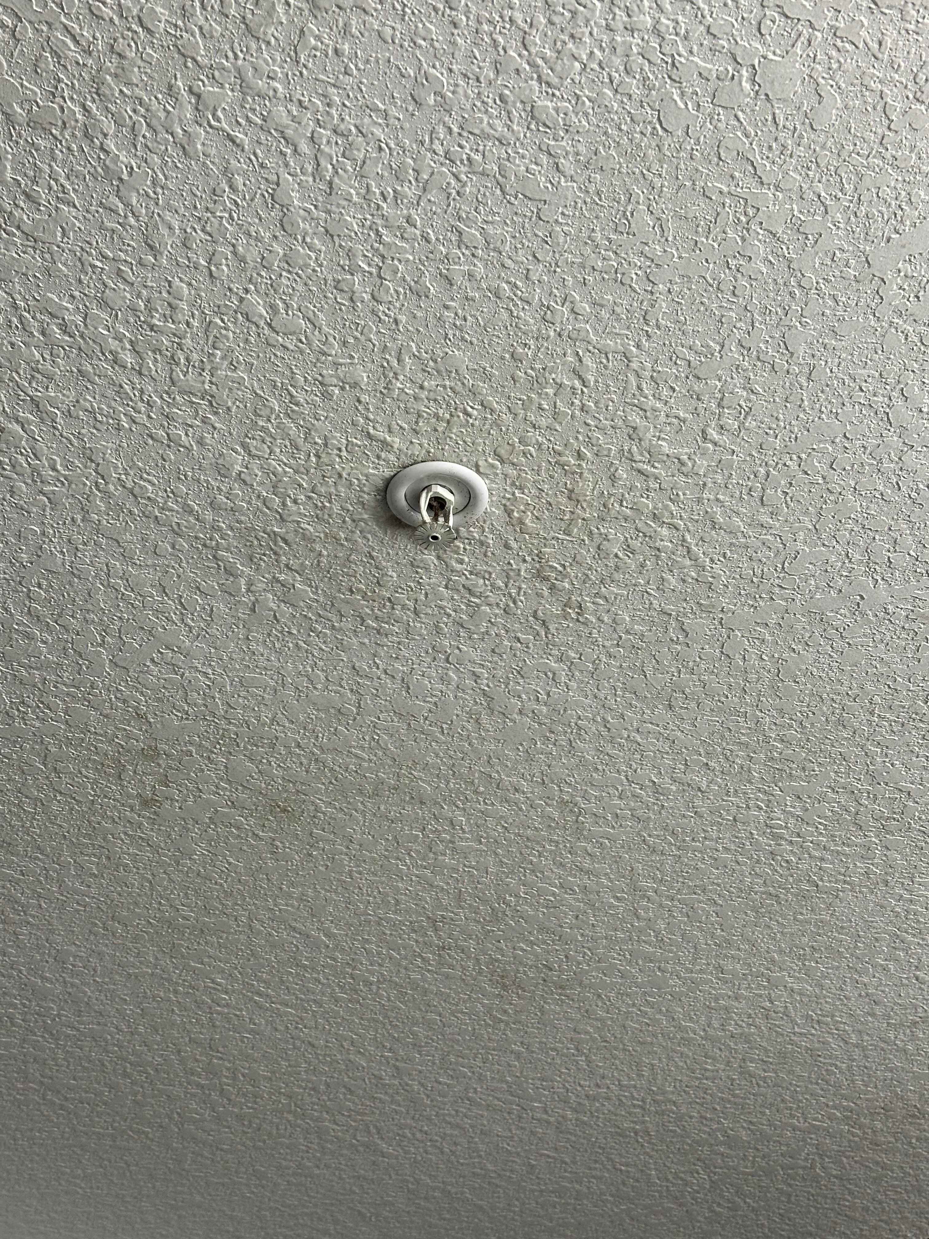 Microtel Inn & Suites By Wyndham Jacksonville Airport-客卧