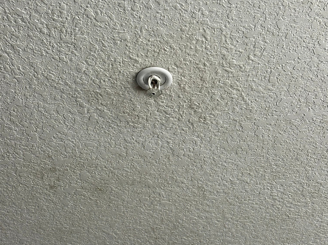 Microtel Inn & Suites By Wyndham Jacksonville Airport主图