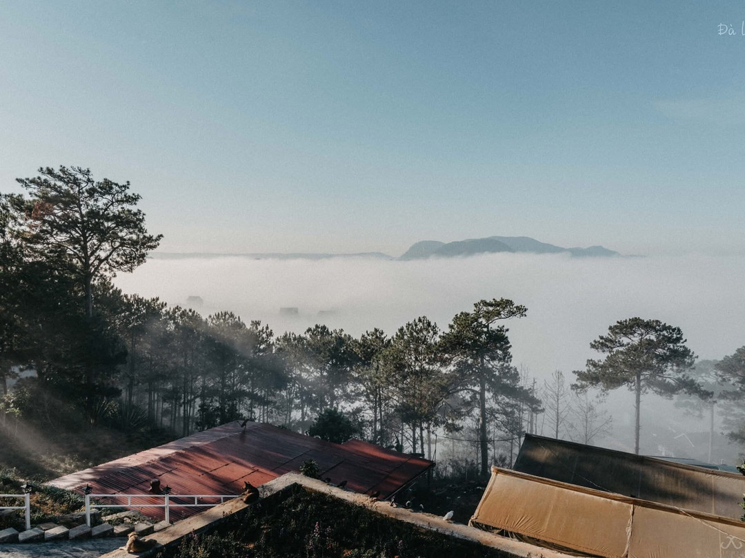 Tuyen Lam Lake-大勒必去景点